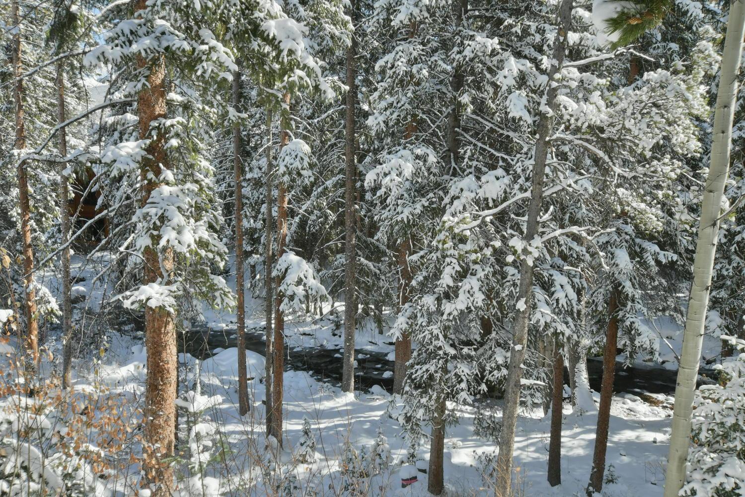 Riverside Luxury Chalet: Hot Tub, Views & Activity Perks Villa Winter Park Exterior photo